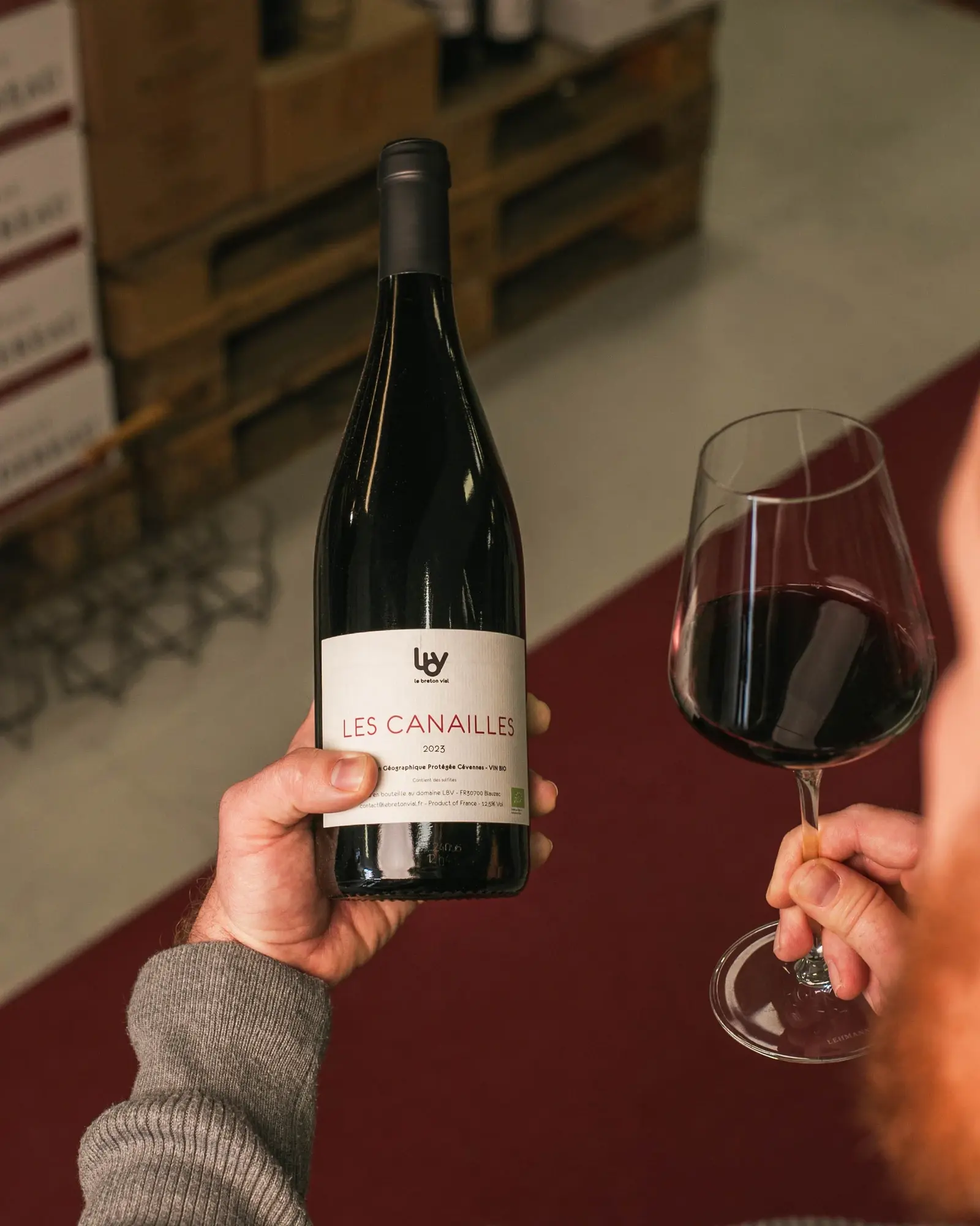 Une bouteille de rouge présentée à côté d’un verre servi, dans la cave.