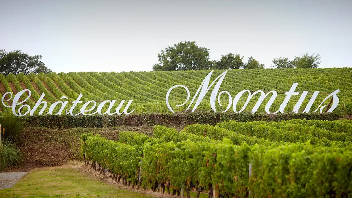 Les vignes du Château Montus, à Madiran, sous l’inscription « Château Montus » en grandes lettres blanches.